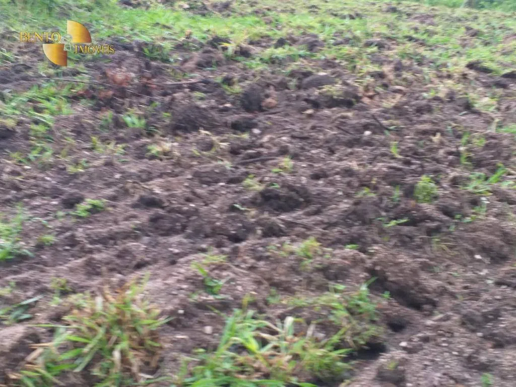 Fazenda à venda de 1.000 ha em Rondonópolis, MT, Brasil