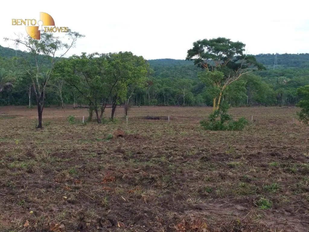 Fazenda à venda de 1.000 ha em Rondonópolis, MT, Brasil