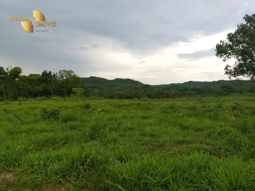 Fazenda à venda de 1.000 ha em Rondonópolis, MT, Brasil