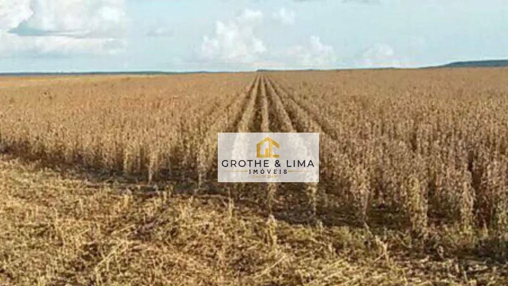 Farm for sale of 12,355 acres in Sorriso, MT, Brazil