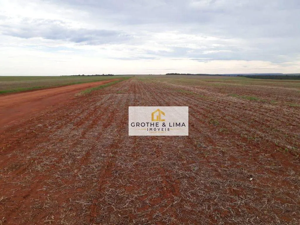 Farm for sale of 12,355 acres in Sorriso, MT, Brazil