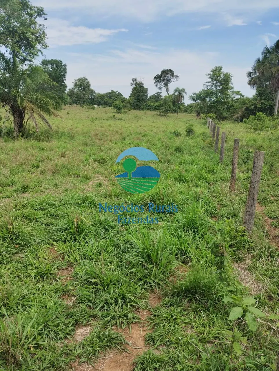 Fazenda à venda de 435 ha em Paraíso do Tocantins, TO, Brasil