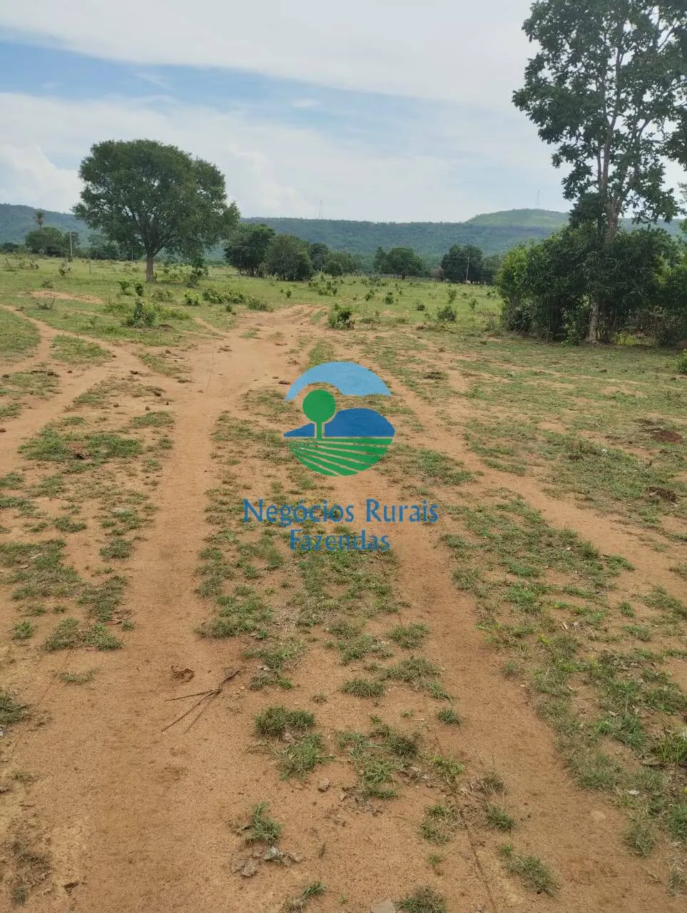 Fazenda à venda de 435 ha em Paraíso do Tocantins, TO, Brasil