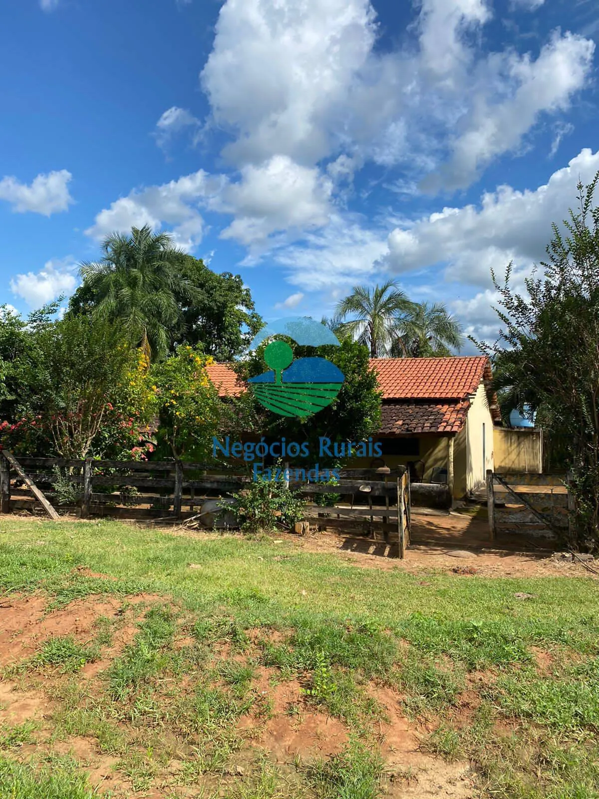 Fazenda à venda de 435 ha em Paraíso do Tocantins, TO, Brasil
