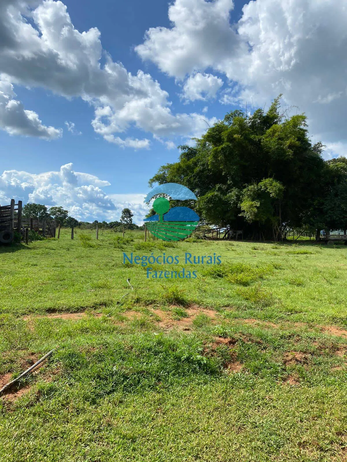 Fazenda à venda de 435 ha em Paraíso do Tocantins, TO, Brasil