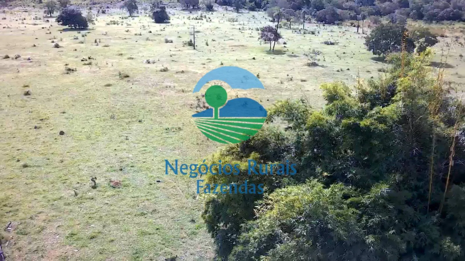 Fazenda à venda de 435 ha em Paraíso do Tocantins, TO, Brasil