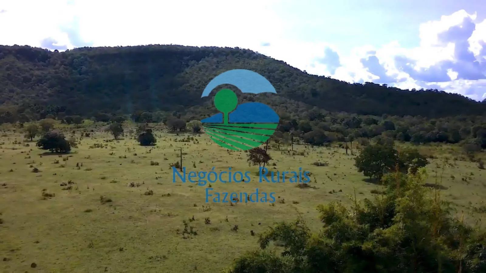 Fazenda à venda de 435 ha em Paraíso do Tocantins, TO, Brasil