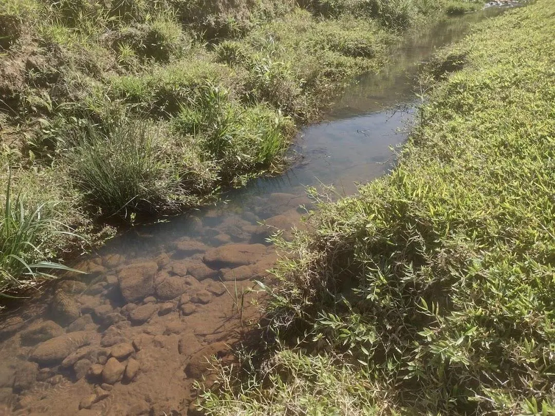 Fazenda à venda de 105 ha em São José do Barreiro, SP, Brasil