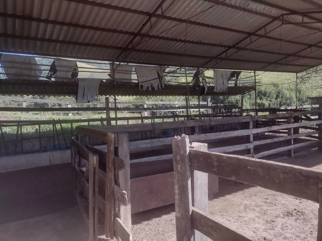 Fazenda à venda de 105 ha em São José do Barreiro, SP, Brasil