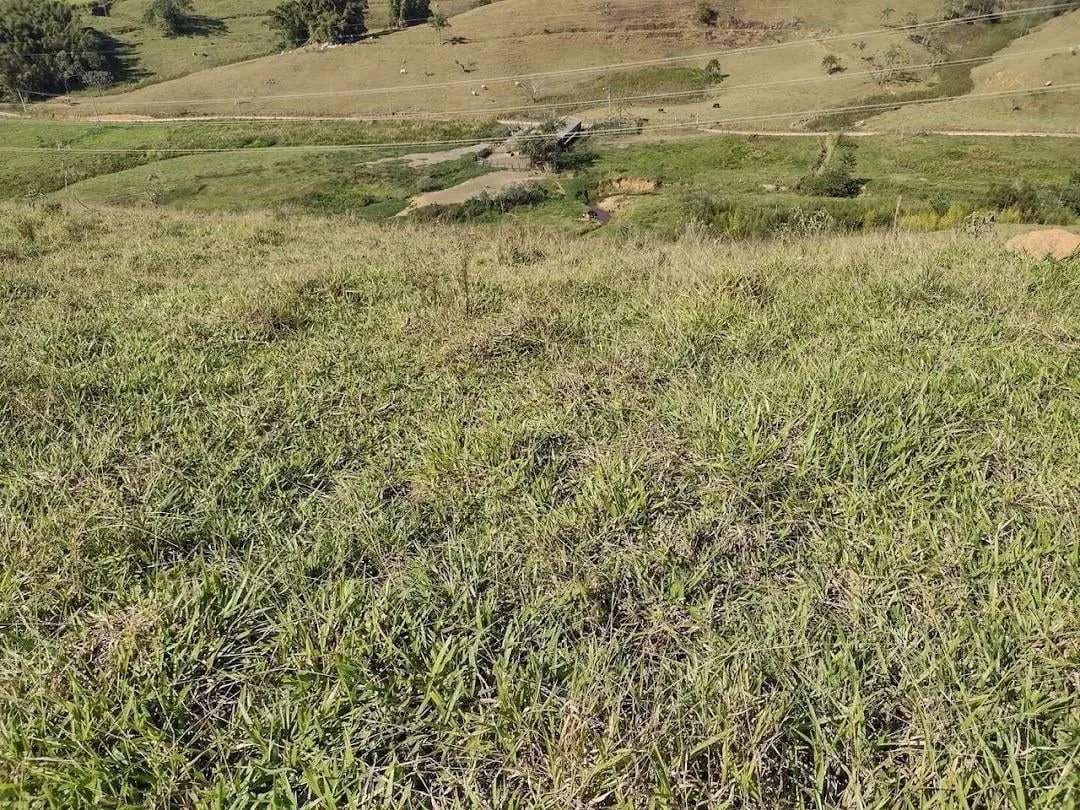 Fazenda à venda de 105 ha em São José do Barreiro, SP, Brasil