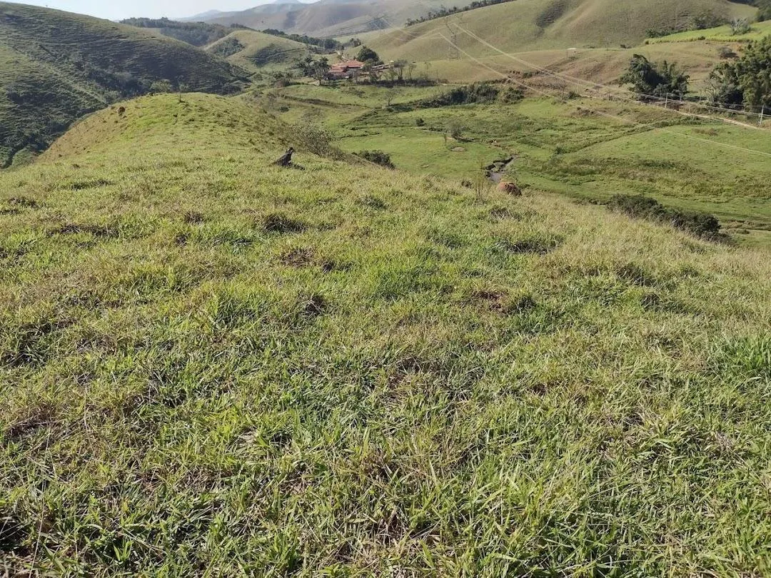 Fazenda à venda de 105 ha em São José do Barreiro, SP, Brasil