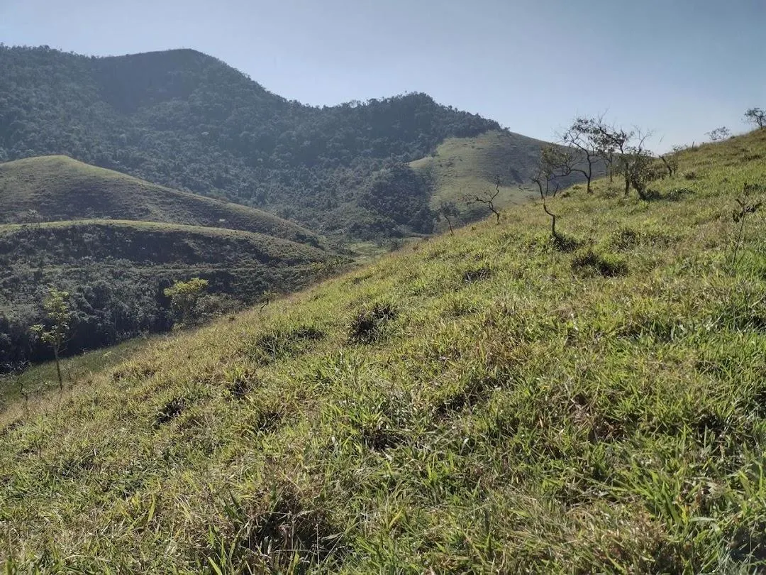 Fazenda à venda de 105 ha em São José do Barreiro, SP, Brasil