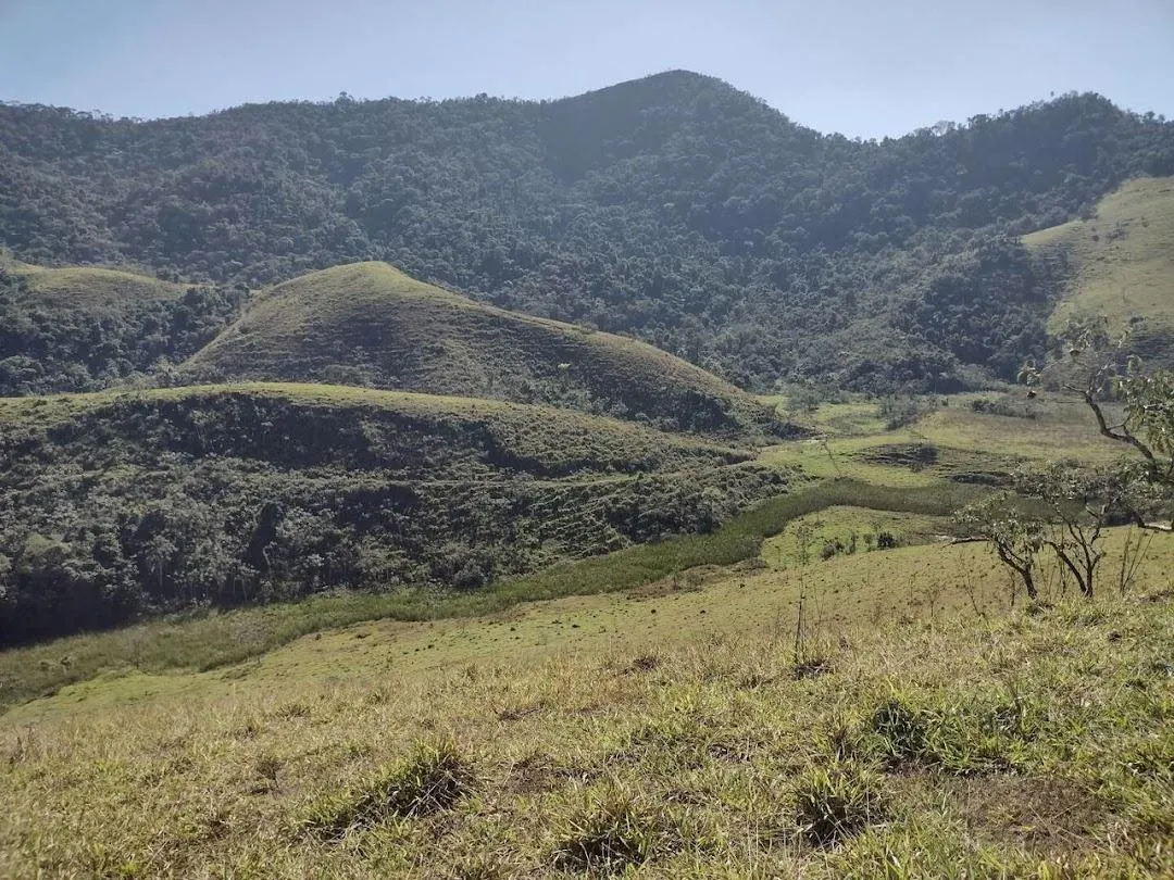 Fazenda à venda de 105 ha em São José do Barreiro, SP, Brasil