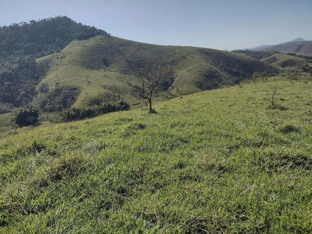 Fazenda à venda de 105 ha em São José do Barreiro, SP, Brasil