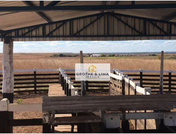 Fazenda à venda de 4.530 ha em Paraíso do Tocantins, TO, Brasil