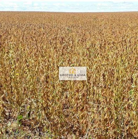 Fazenda à venda de 4.530 ha em Paraíso do Tocantins, TO, Brasil