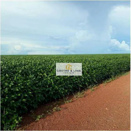 Fazenda à venda de 4.530 ha em Paraíso do Tocantins, TO, Brasil