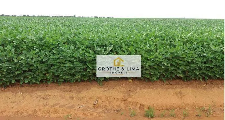 Fazenda à venda de 4.530 ha em Paraíso do Tocantins, TO, Brasil