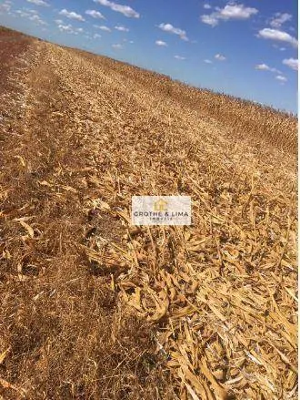 Fazenda à venda de 4.530 ha em Paraíso do Tocantins, TO, Brasil