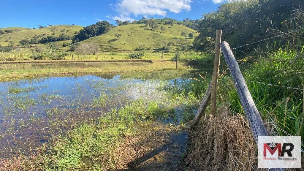Chácara à venda de 3.600 m² em Borda da Mata, MG, Brasil