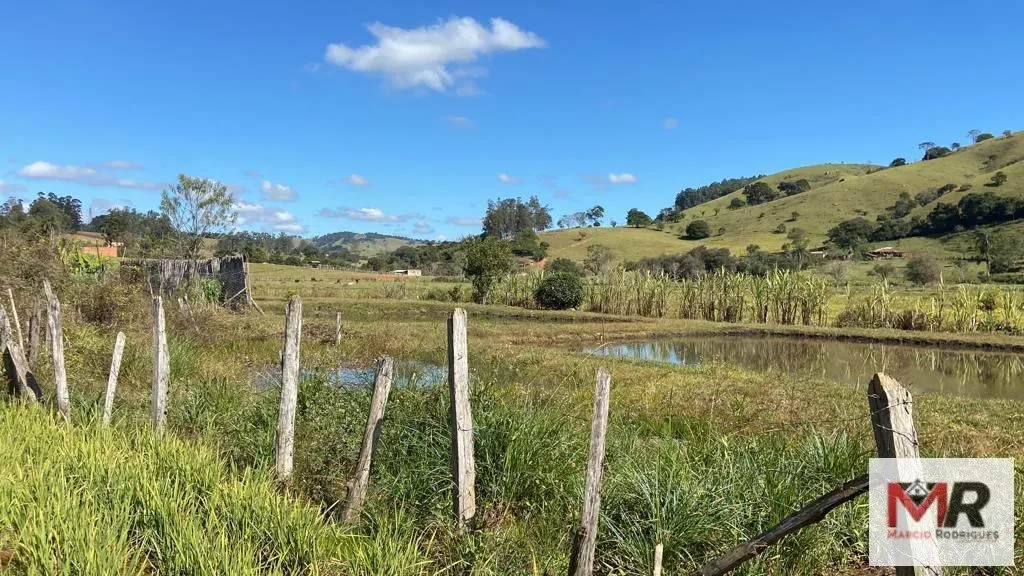 Chácara à venda de 3.600 m² em Borda da Mata, MG, Brasil