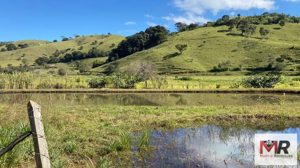 Chácara à venda de 3.600 m² em Borda da Mata, MG, Brasil
