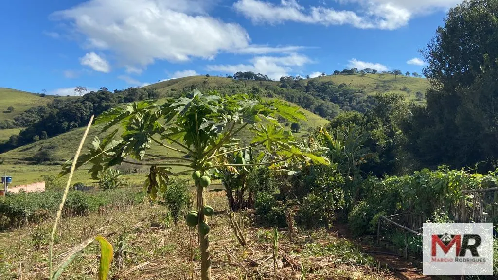 Chácara à venda de 3.600 m² em Borda da Mata, MG, Brasil