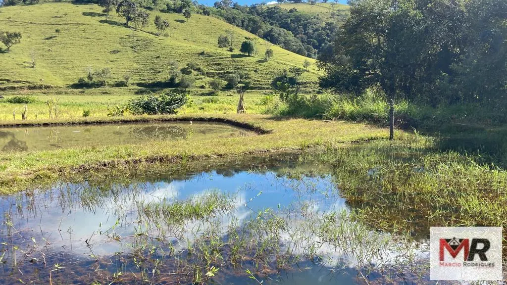 Chácara à venda de 3.600 m² em Borda da Mata, MG, Brasil