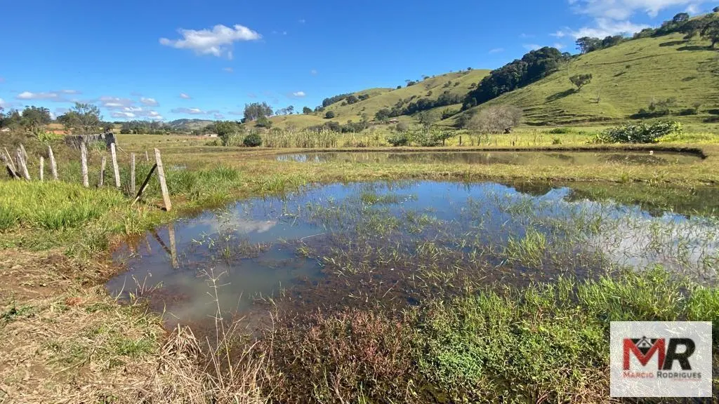 Chácara à venda de 3.600 m² em Borda da Mata, MG, Brasil