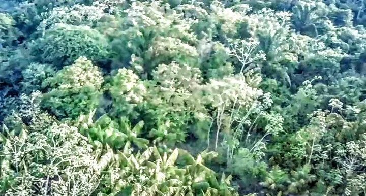 Sítio à venda de 8 ha em Eldorado do Carajás, PA, Brasil