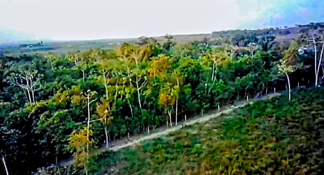 Sítio à venda de 8 ha em Eldorado do Carajás, PA, Brasil