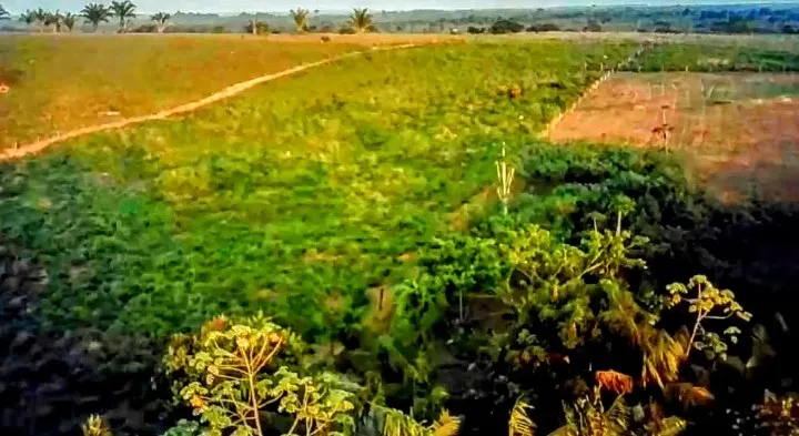 Sítio à venda de 8 ha em Eldorado do Carajás, PA, Brasil