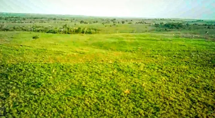Sítio à venda de 8 ha em Eldorado do Carajás, PA, Brasil