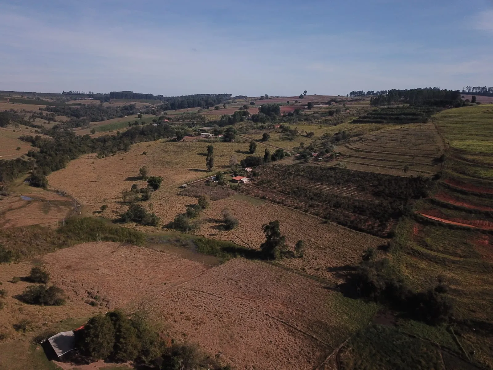 Sítio à venda de 5 ha em Timburi, SP, Brasil