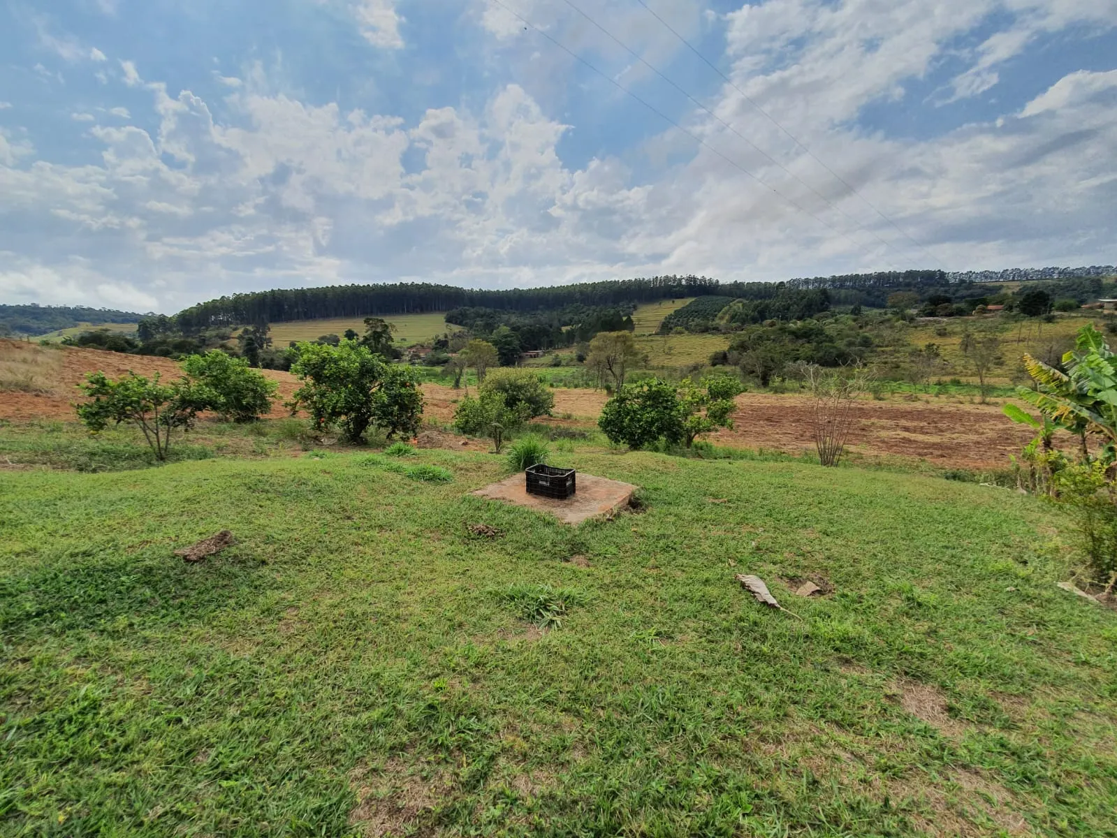 Sítio à venda de 5 ha em Timburi, SP, Brasil