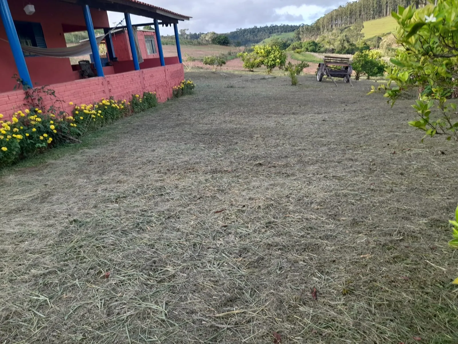 Sítio à venda de 5 ha em Timburi, SP, Brasil