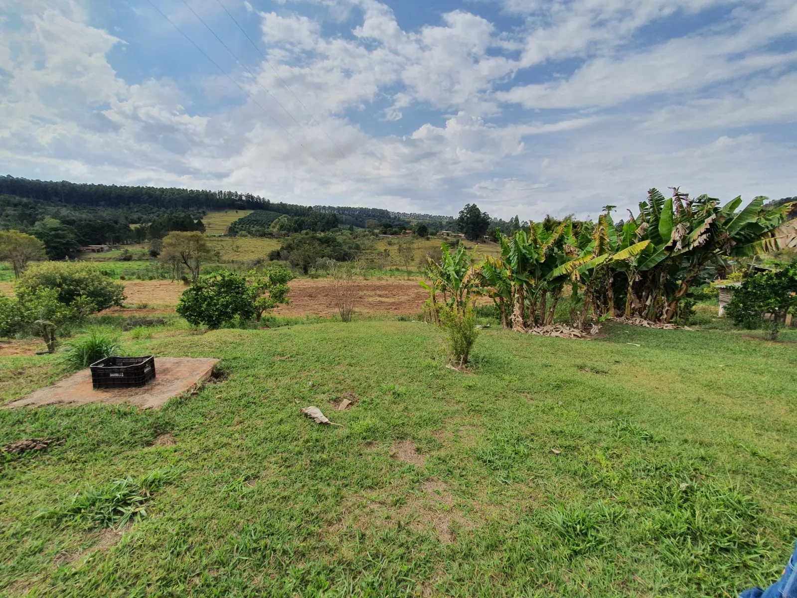 Sítio à venda de 5 ha em Timburi, SP, Brasil
