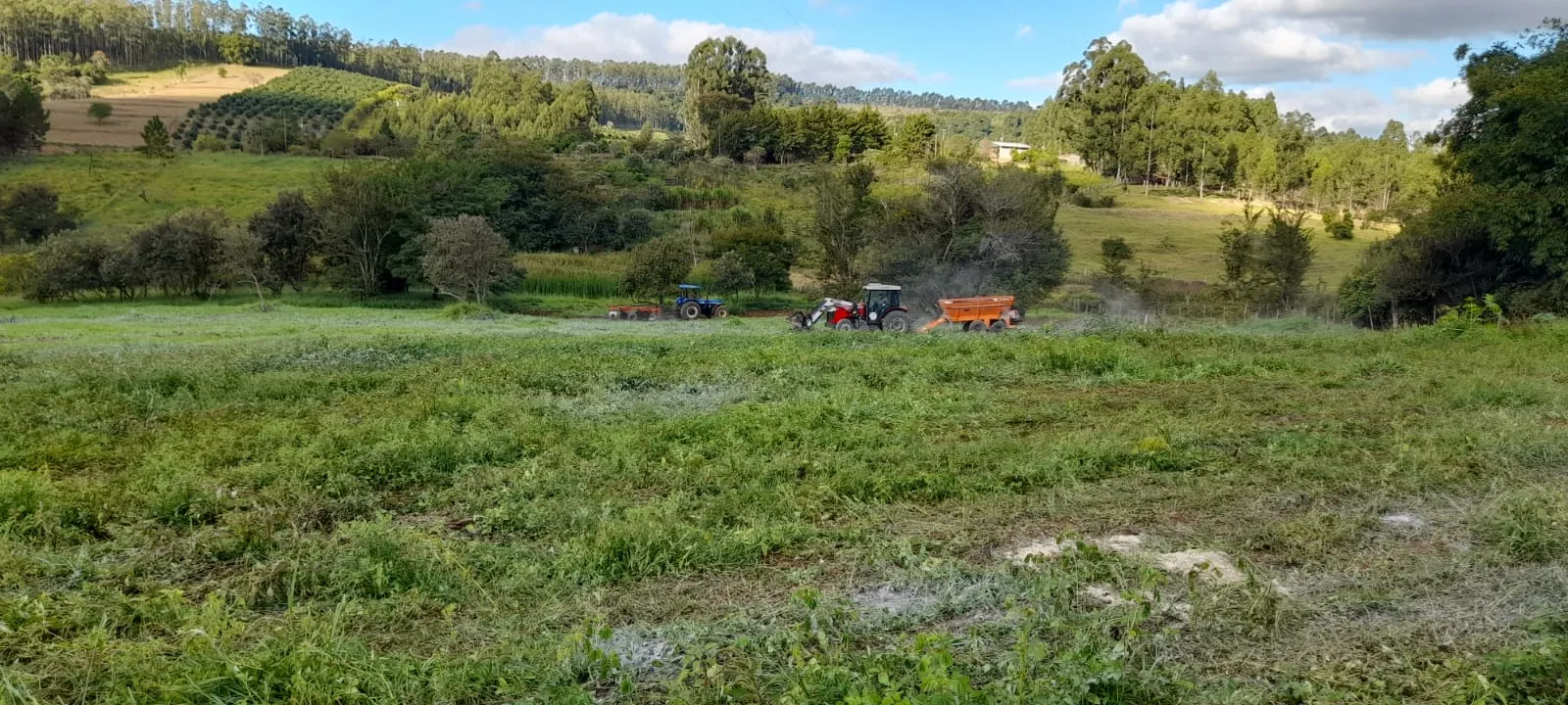 Sítio à venda de 5 ha em Timburi, SP, Brasil