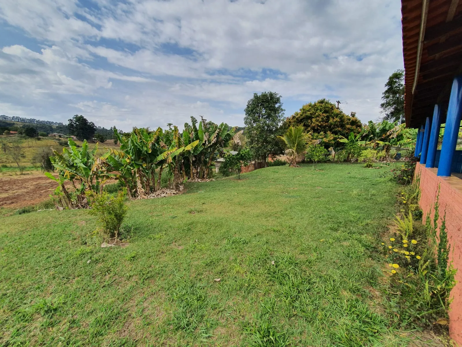 Sítio à venda de 5 ha em Timburi, SP, Brasil