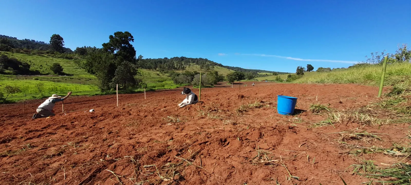 Sítio à venda de 5 ha em Timburi, SP, Brasil