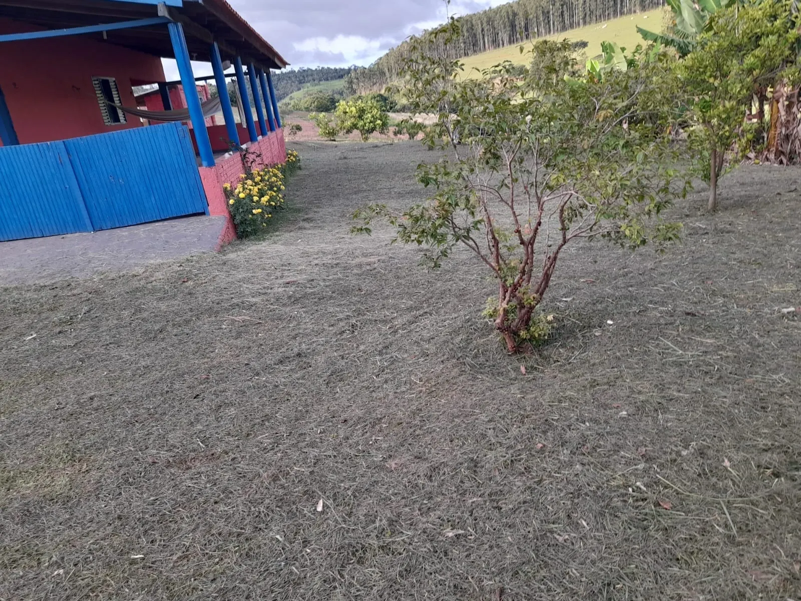 Sítio à venda de 5 ha em Timburi, SP, Brasil