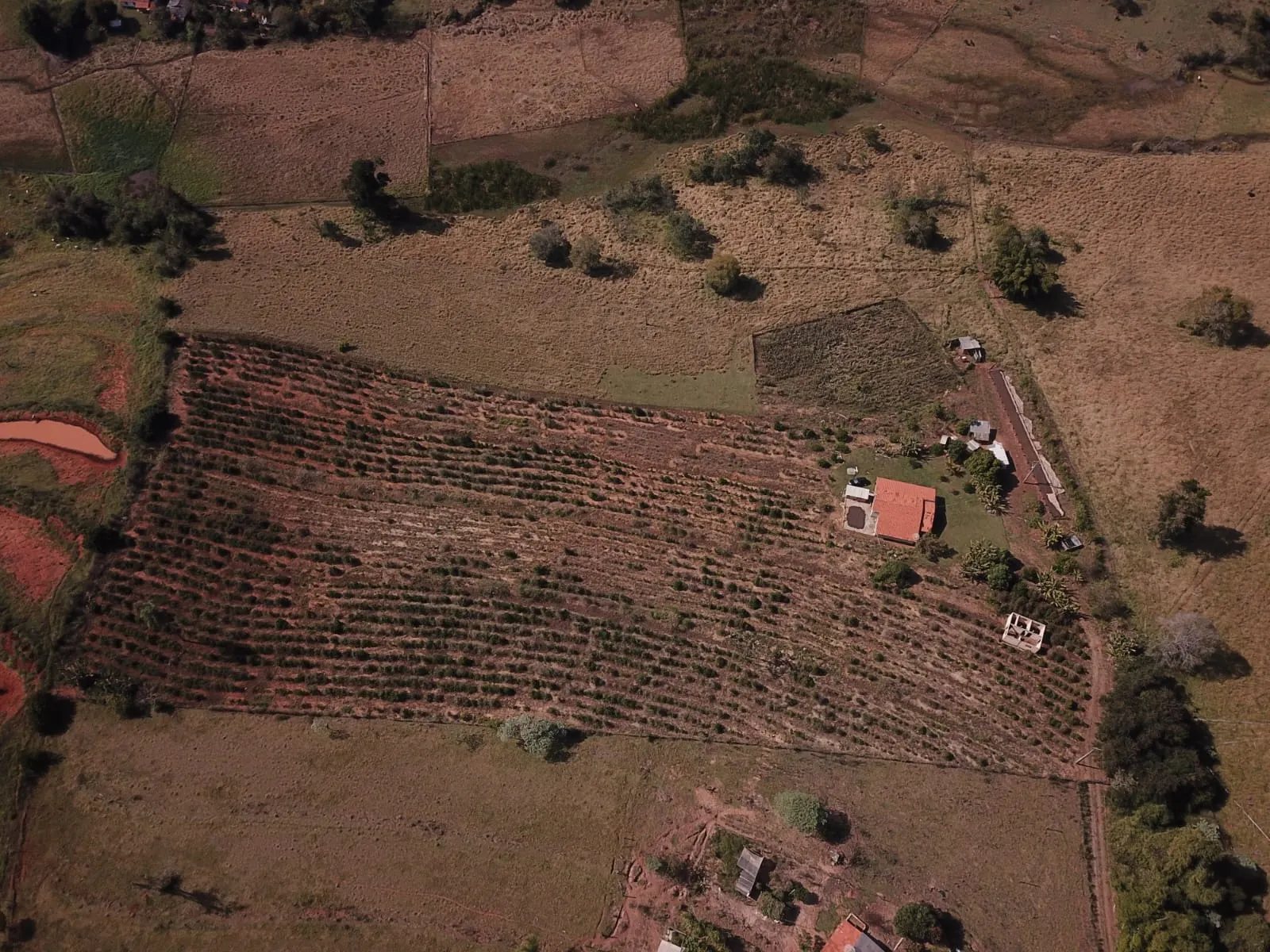 Sítio à venda de 5 ha em Timburi, SP, Brasil