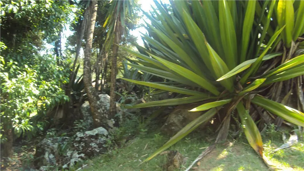 Farm for sale of 296,526 acres in Bom Jesus dos Perdões, SP, Brazil