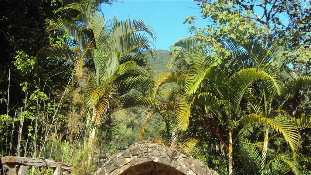 Farm for sale of 296,526 acres in Bom Jesus dos Perdões, SP, Brazil