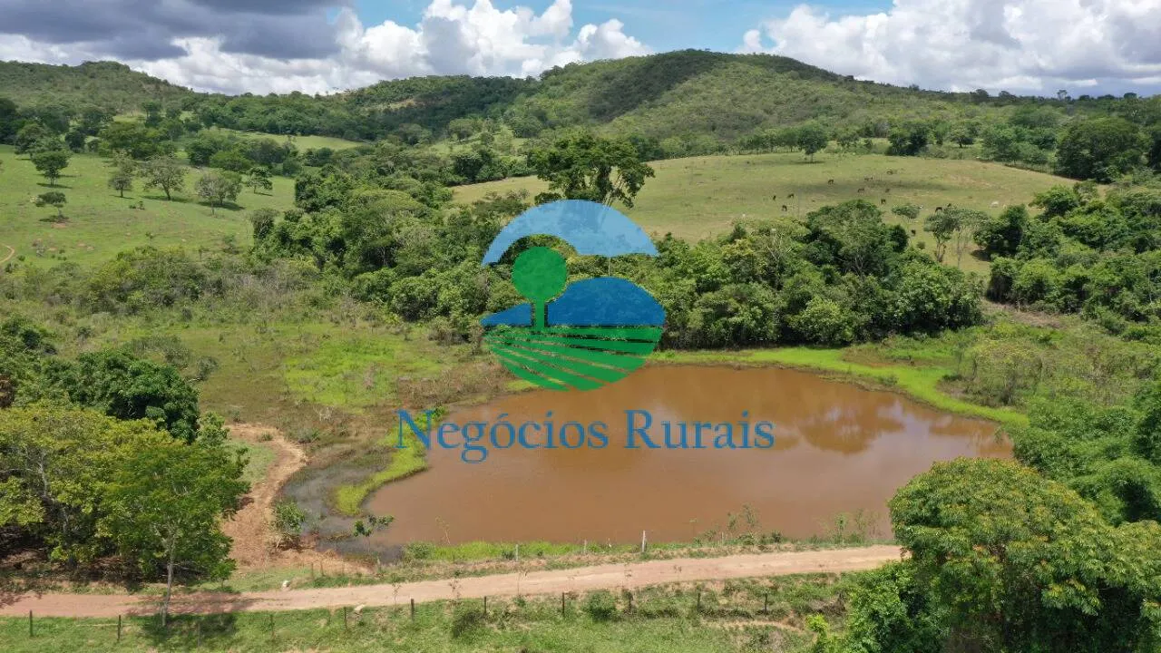 Fazenda à venda de 121 ha em Bela Vista de Goiás, GO, Brasil