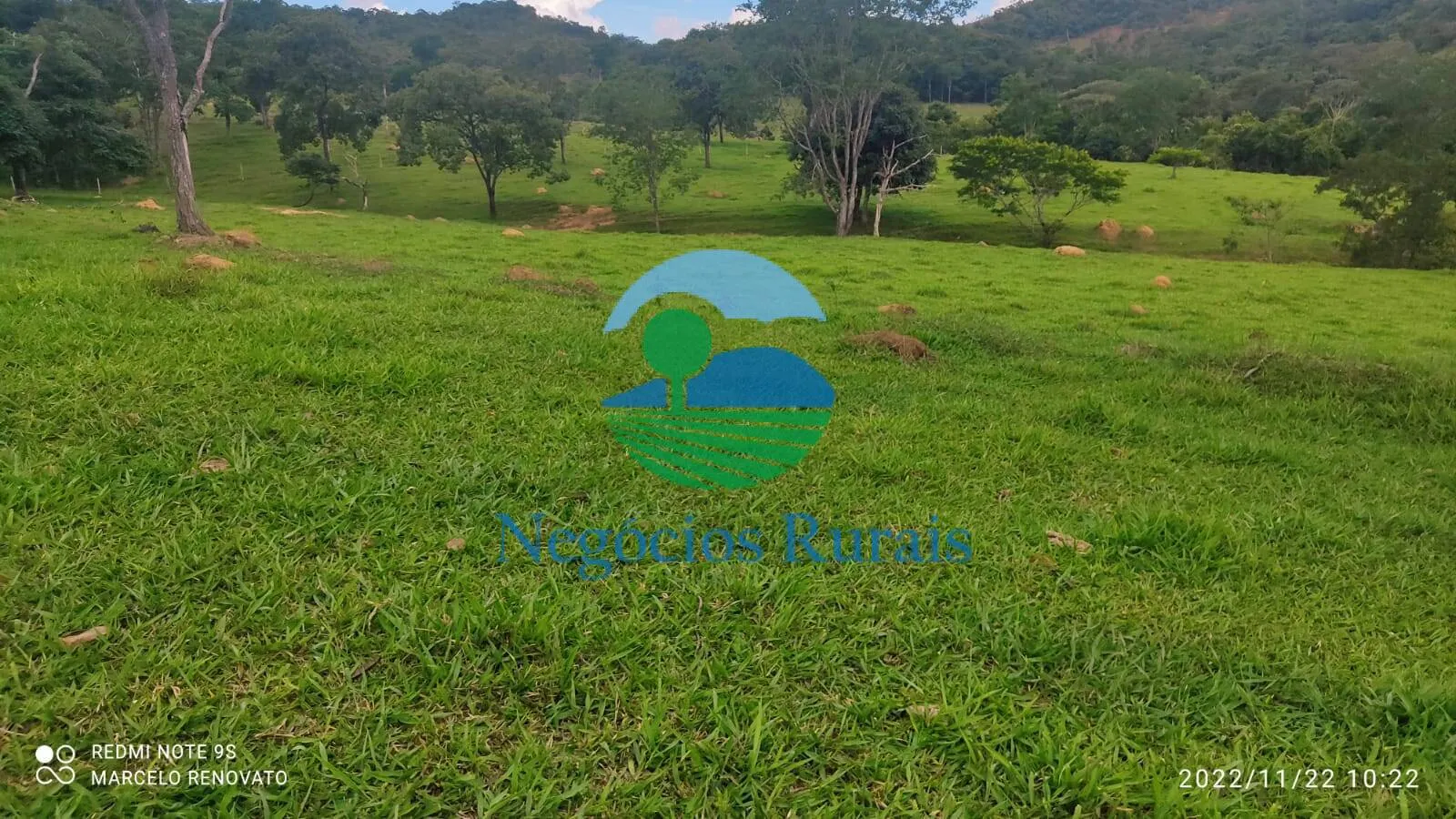 Fazenda à venda de 121 ha em Bela Vista de Goiás, GO, Brasil