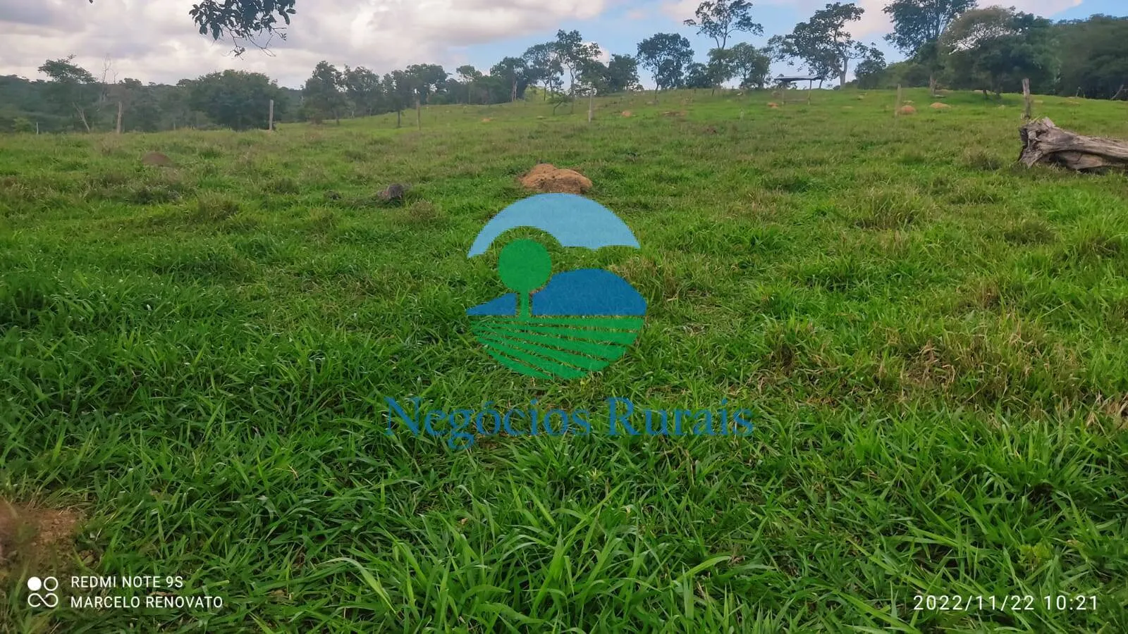Fazenda à venda de 121 ha em Bela Vista de Goiás, GO, Brasil