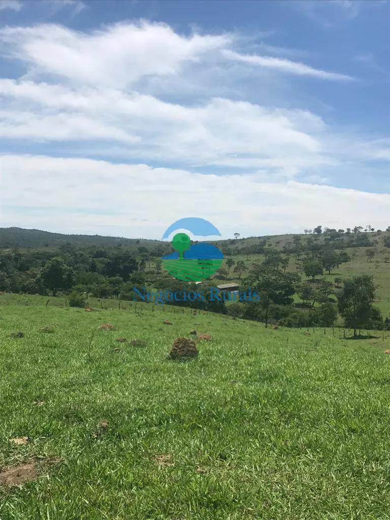Fazenda à venda de 121 ha em Bela Vista de Goiás, GO, Brasil