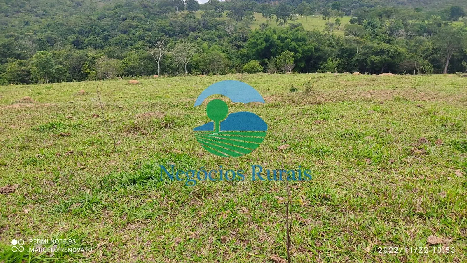 Fazenda à venda de 121 ha em Bela Vista de Goiás, GO, Brasil