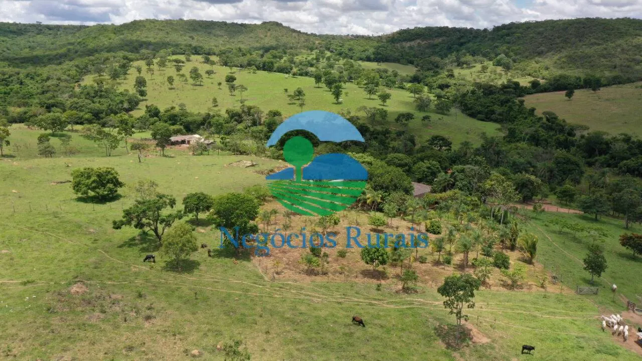 Fazenda à venda de 121 ha em Bela Vista de Goiás, GO, Brasil